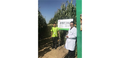 标题：蒙青贮266
浏览次数：7008
发表时间：2018-08-11