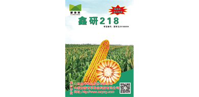 标题：鑫研218
浏览次数：5560
发表时间：2020-08-21