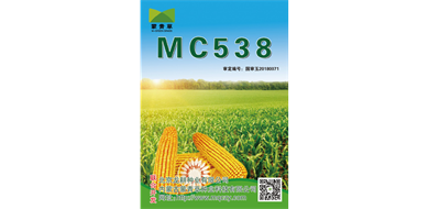 标题：MC538
浏览次数：4000
发表时间：2020-08-21