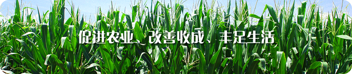 供种选择